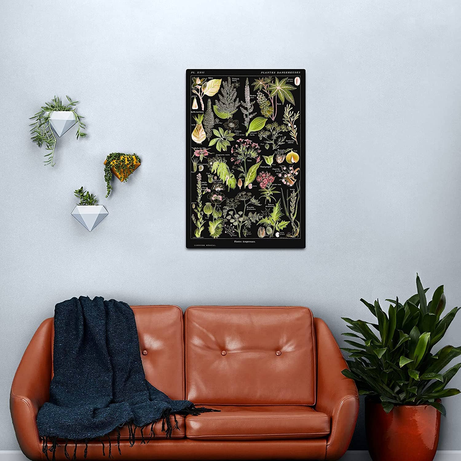 Rock Paper Scissors Wall Art – Großhandel Kunstdruck – Gefährliche Pflanzen A (Plantes Dangereuses A) von Adolphe Millot3