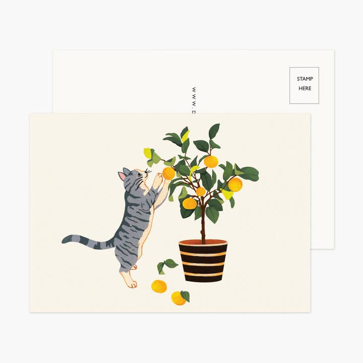 Kat speelt met een sinaasappelboom Ansichtkaarten voor wholesale door Daisy Vibe