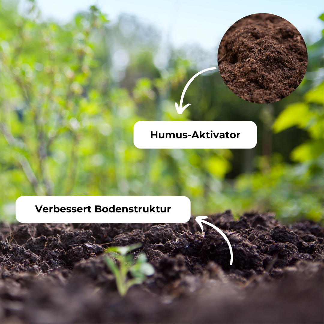 HKPÄDs - Wholesale Fertilizer - Vegan natural fertiliser in organic quality - odourless, oh5