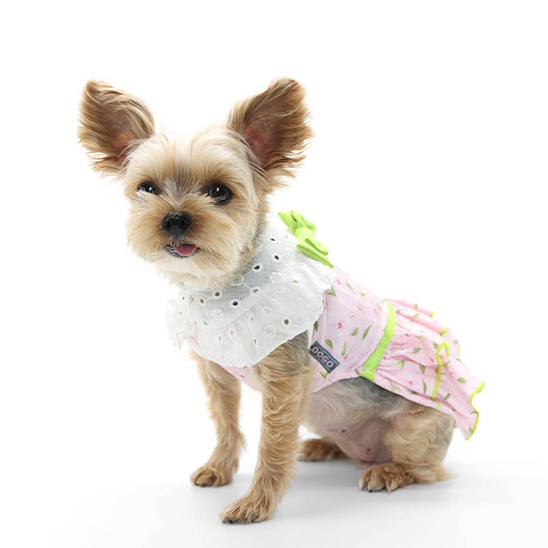 Dogo Pet - Wholesale Pet Dress - Dog - Ditsy Floral Dress