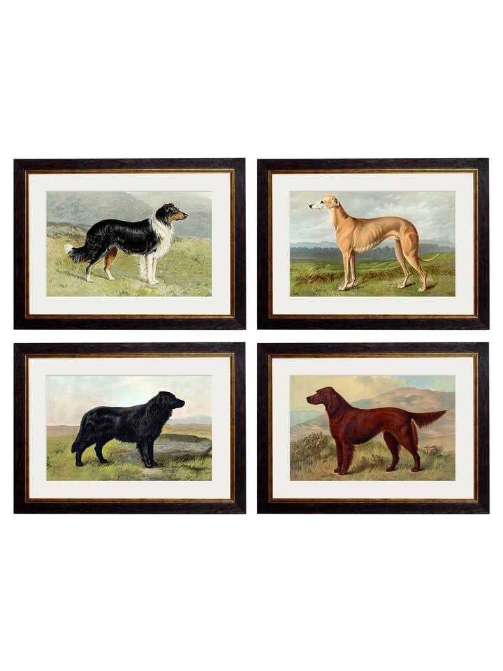 c.1881 Working Dogs for wholesale by T A Interiors Wall Art & Mirrors