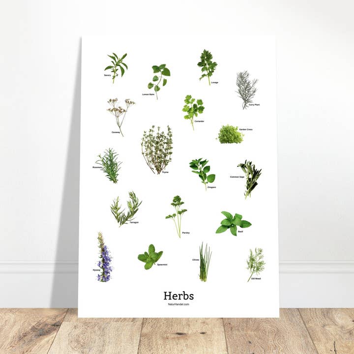 Poster sulle erbe per la vendita all'ingrosso da parte di NaturHandel.dk