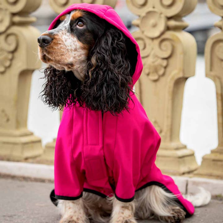 Blueberry Pet - Wholesale Pet Raincoat - Dog - 4 Colors, Hooded Softshell 5000MM Waterproof Jacket9