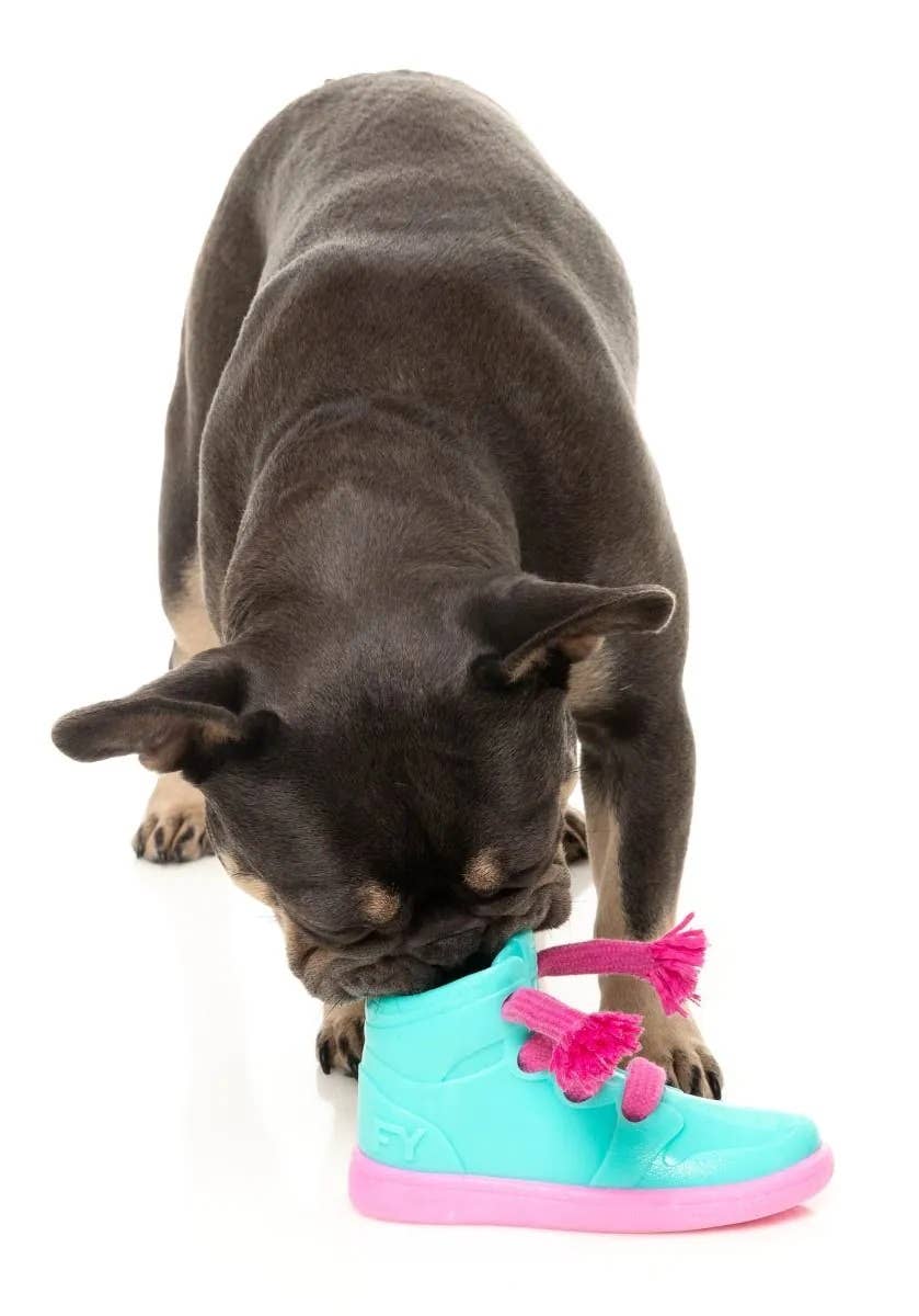 Pet Palette Distribution - Wholesale Pet Chew Toy - Dog - FuzzYard Fresh Kicks N' Licks Dog Chew Toy8