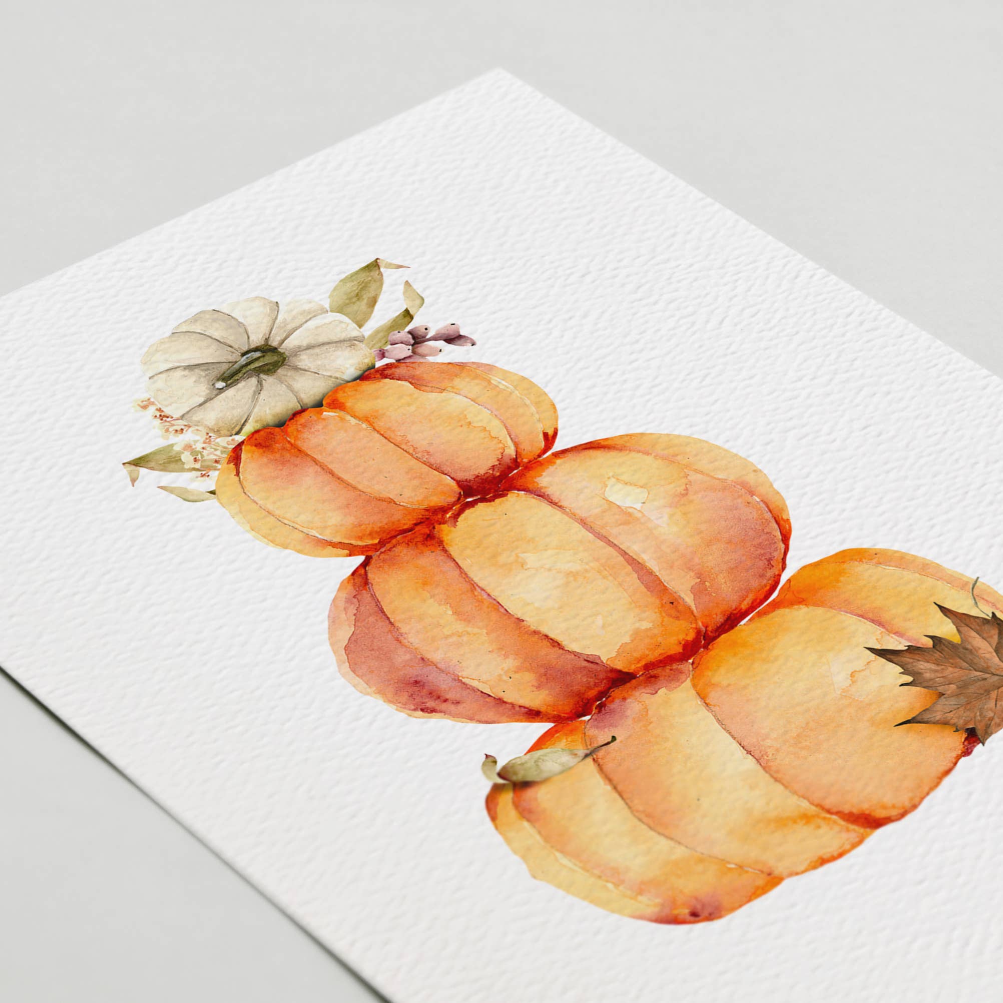 Blue Thistle - Wholesale Season's Greetings Card - Boxed Set of 10 Pumpkin Greeting Cards, Autumn, Halloween1