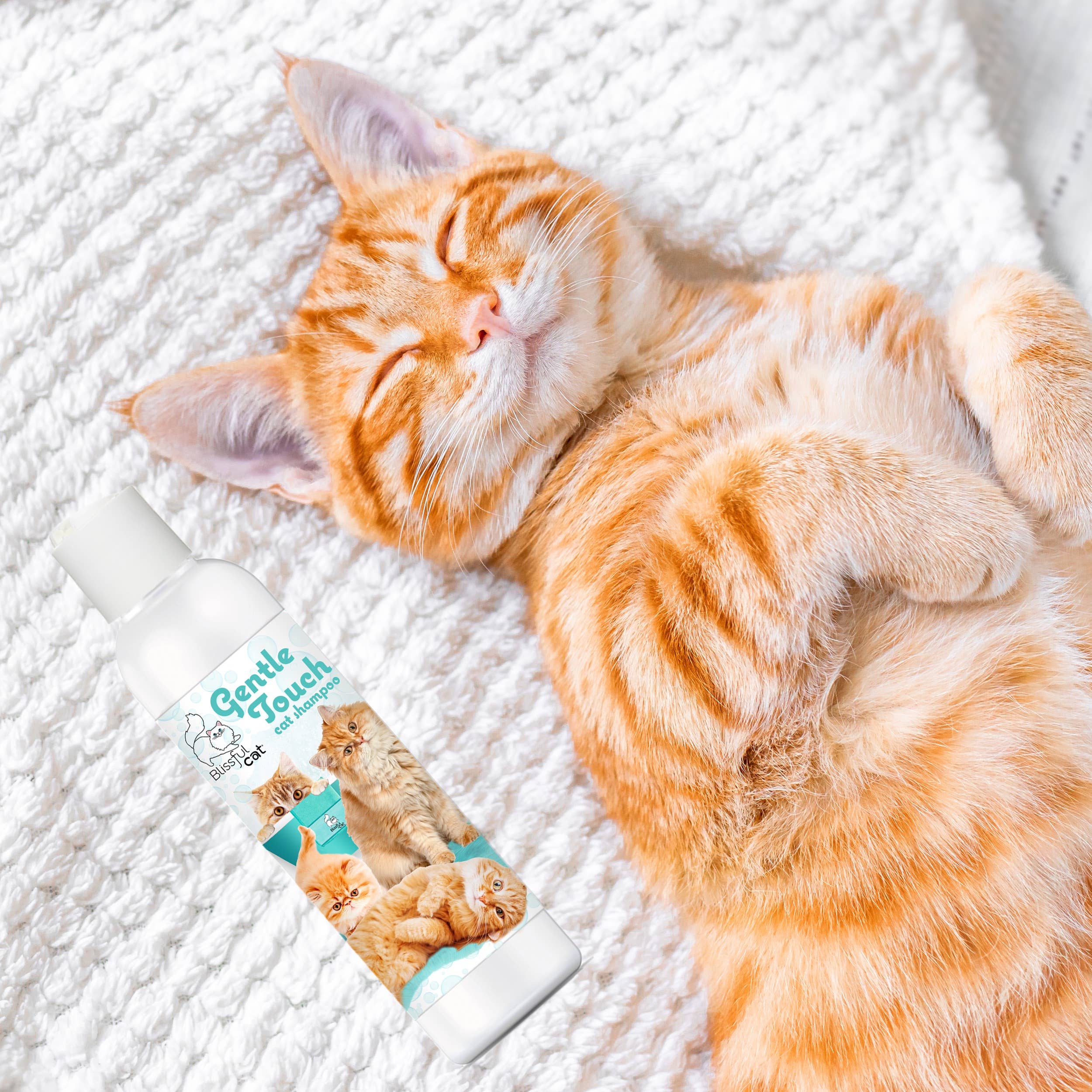The Blissful Dog – Großhandel Haustier-Conditioner – Katze – The Blissful Cat Gentle Touch Katzenshampoo5