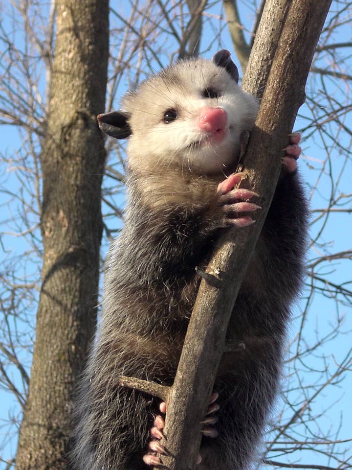 Tasses à café en céramique - tous Frais supplémentaires pour le deuxième côté pour la vente par Endless Etching LLC