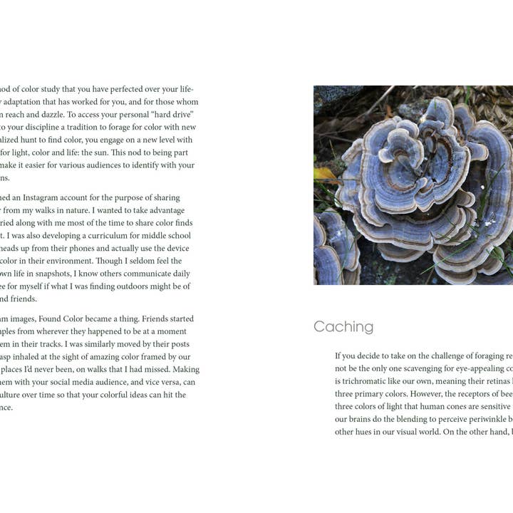 Familius, LLC - Wholesale Arts & Entertainment - Nature of Color7