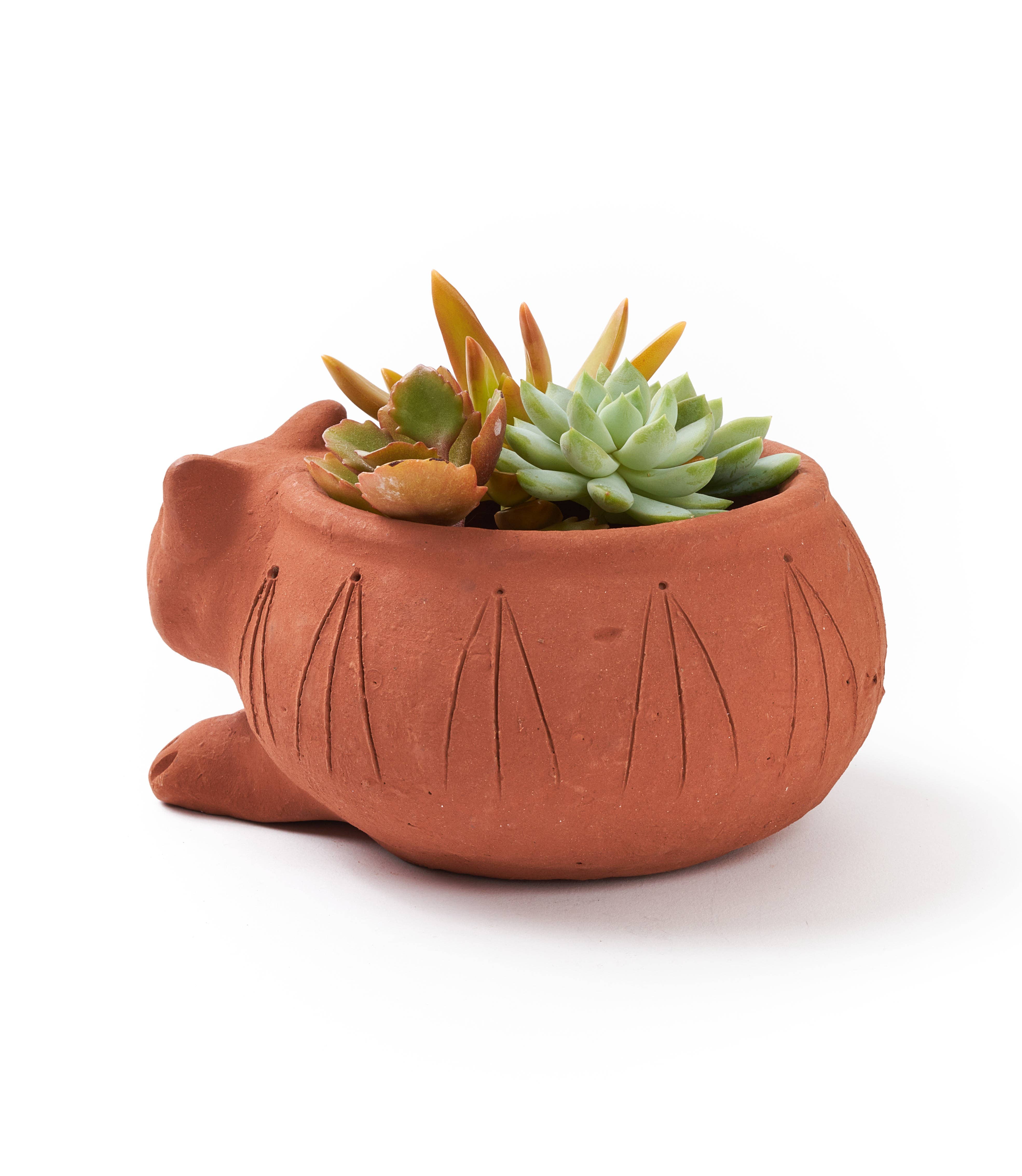 Matr Boomie Fair Trade - Wholesale Plant Pot - Rakshana Cat Plant Pot - Terracotta1
