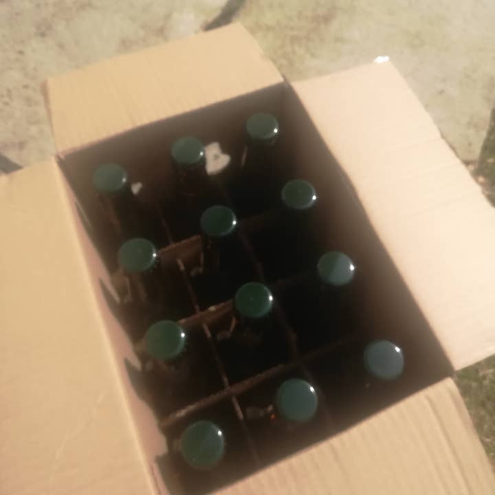 Bière Parlementia - Wholesale Beer - IPA session1