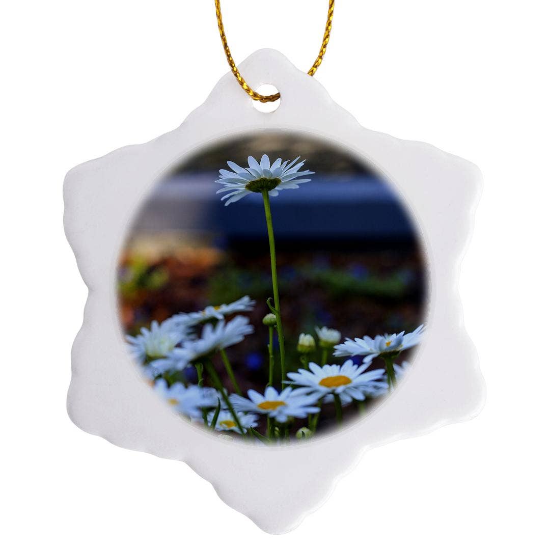 3dRose – wholesale Prydnad – 3dRose, Savannah, Georgia. Klunga av prästkragar i Forsyth Park, prydnad7