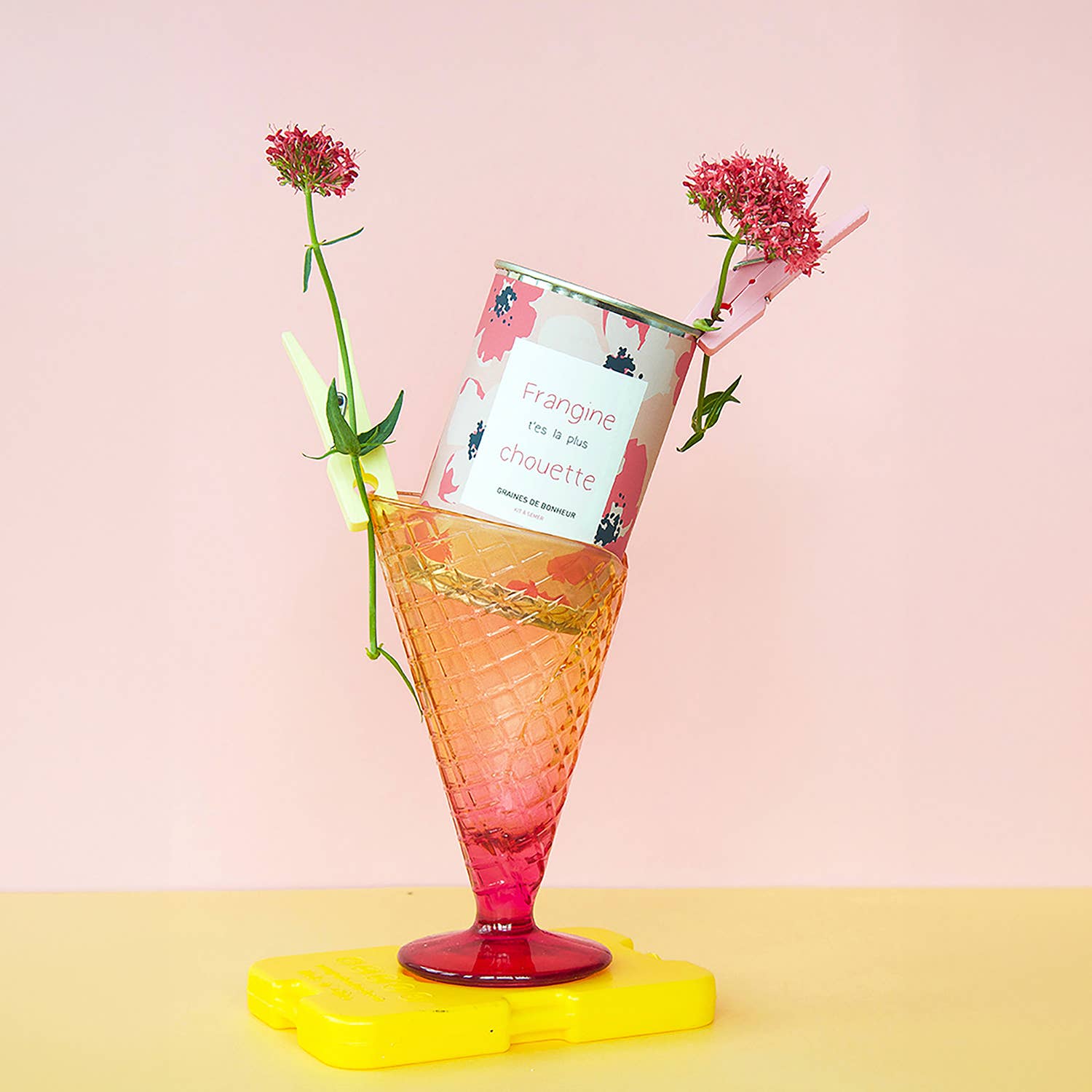 MauvaisesGraines - Wholesale Zaadjes voor platten - Zaaisetje „Frangine, jij bent de coolste”