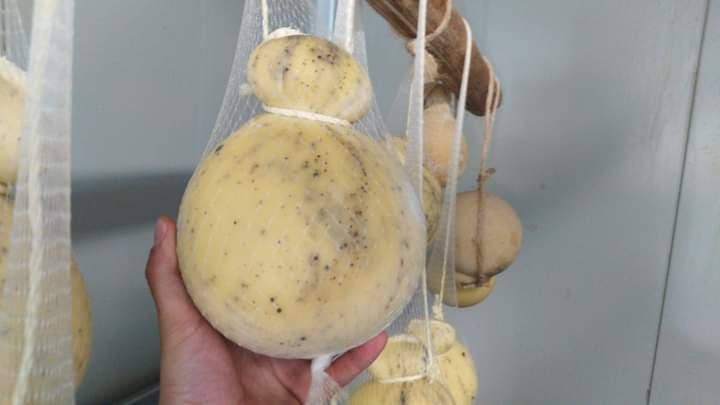 I sapori di una volta s.r.l.s - Wholesale Cheese - Black Truffle Caciocavallo 4
