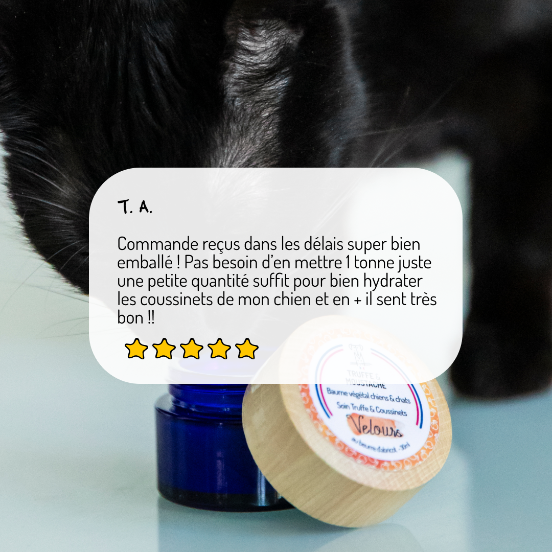 Truffe & Moustache - Wholesale Pet Balm - Dog - Truffle Balm & Pads for dogs & cats, “Velours”5