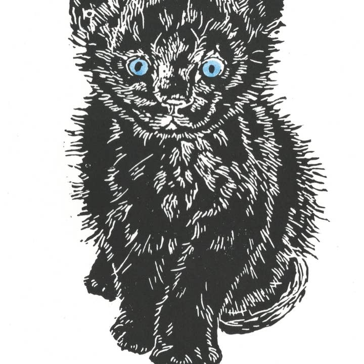 Single card: "You're Kitten Me!" for wholesale by Sarah Drummond Art