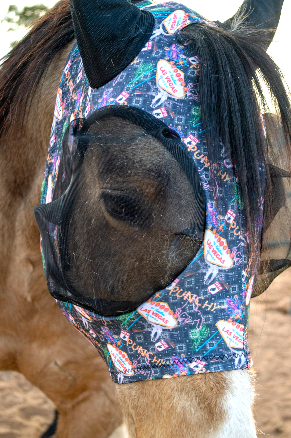 Schulz Equine - Wholesale Horseback Riding Gear - Lycra Fly Mask7