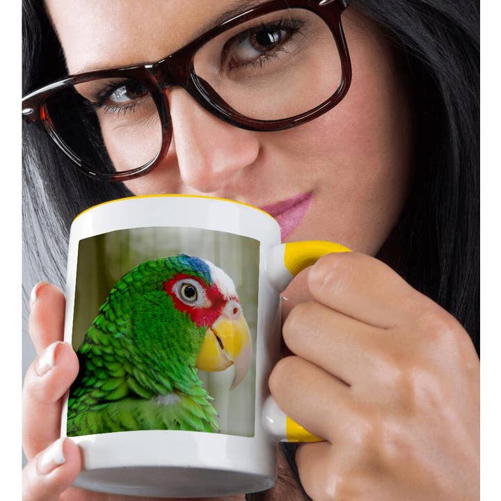 3dRose - Wholesale Coffee Mug - 3dRose, Belize, Belize City, Belize City Zoo. Captive White Fronted parrot., Mug1