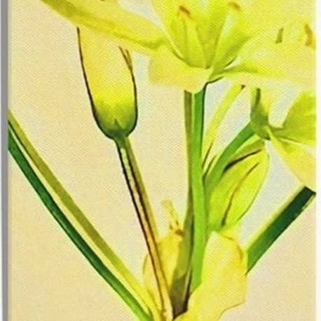 Meadow Bloom Print for wholesale by Breanry Studio