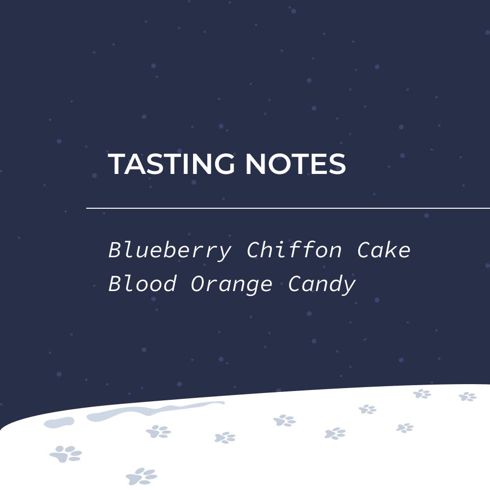 De Mello Coffee - Wholesale Coffee Beans - [Seasonal] De Mello La Campanella (Coffee Beans)2