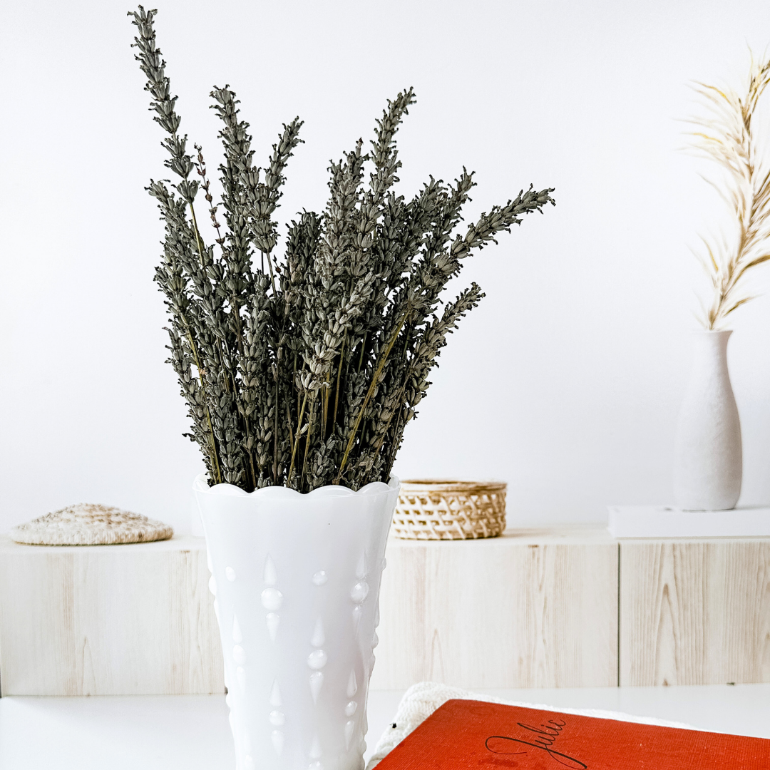 Hereward Farms - Wholesale Dried/Pressed Flowers - Lavender | Dried French Lavender Bunch1