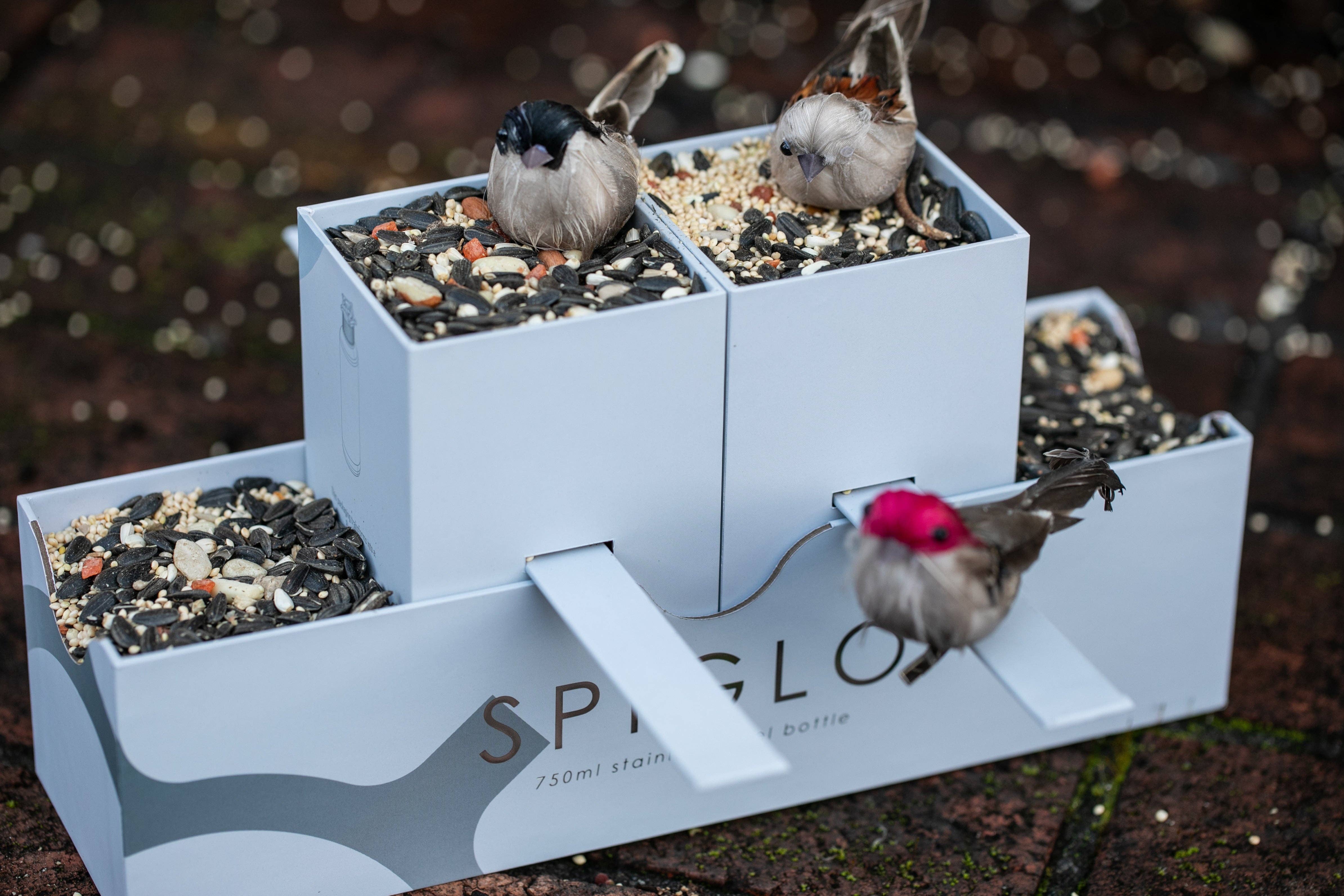 Rupt - Wholesale Water Bottle - Spiglo Water Bottle5