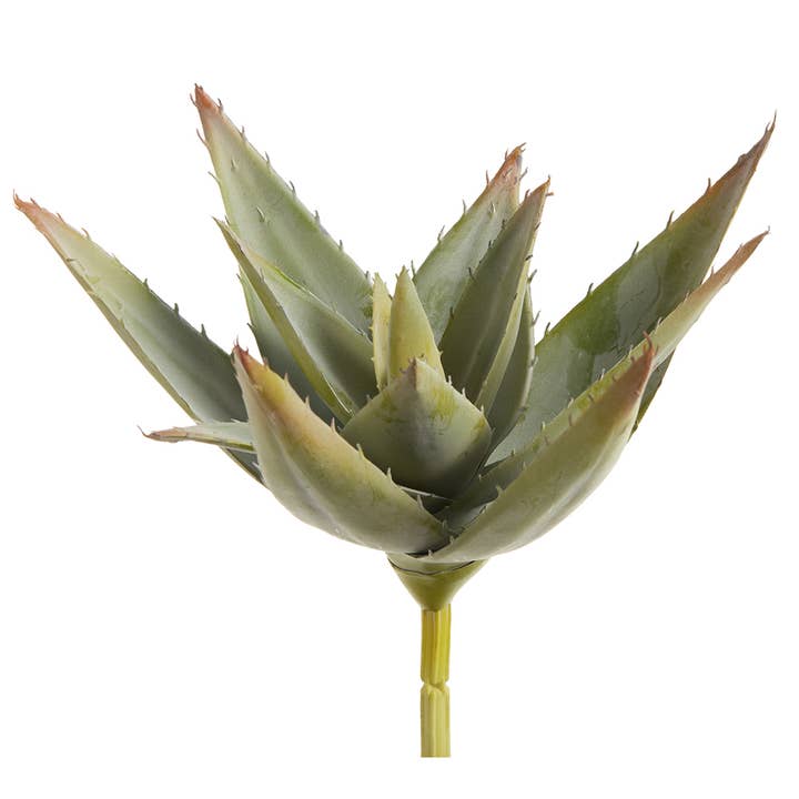 8" Agave Pick Green Burgundy (12 Pcs Per Box) for wholesale by JENNY SILKS