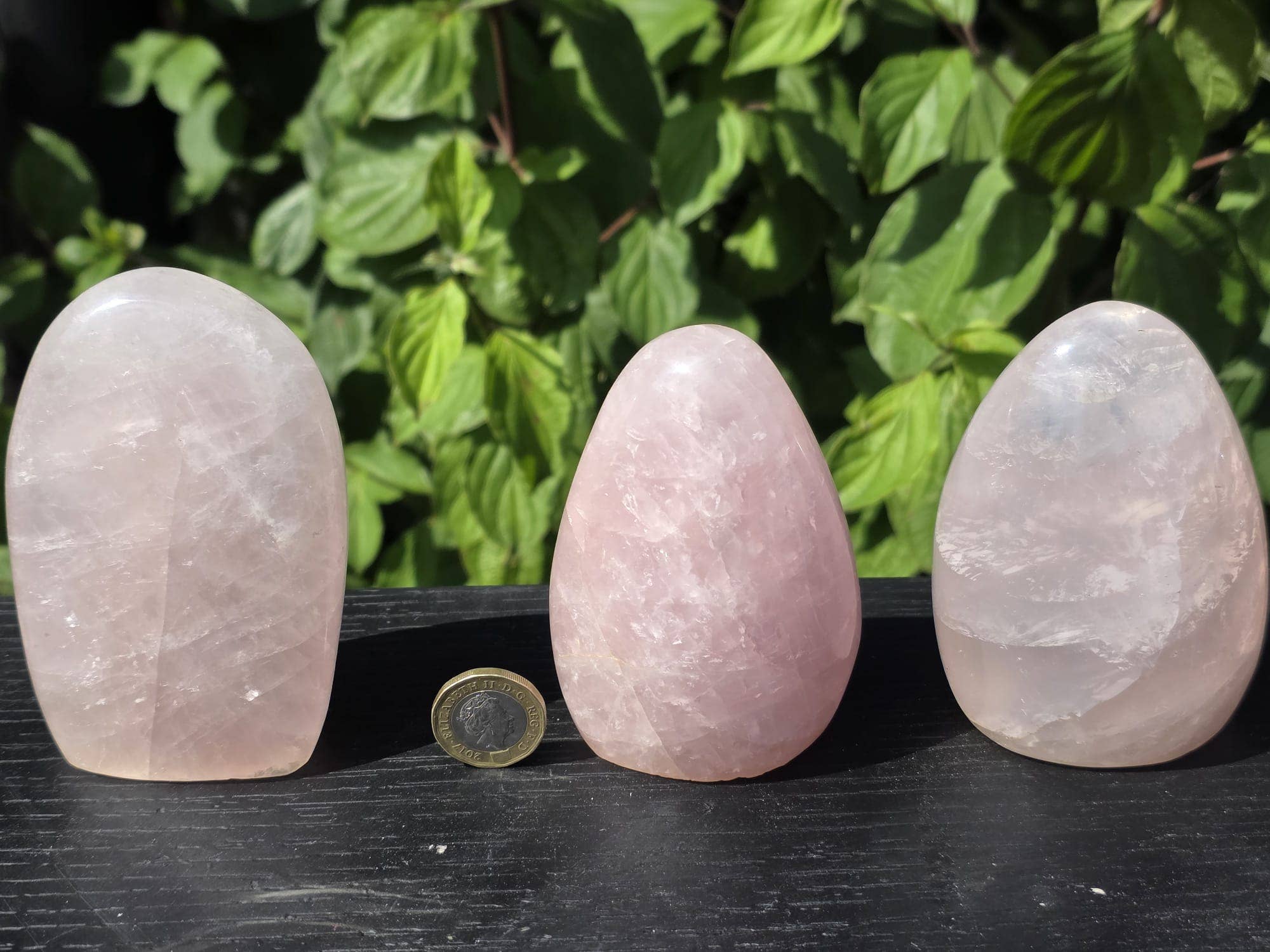 Distinction Crystals – wholesale Spiritual stone/crystal – Large Rose Quartz Crystal Freeforms 300-500g1
