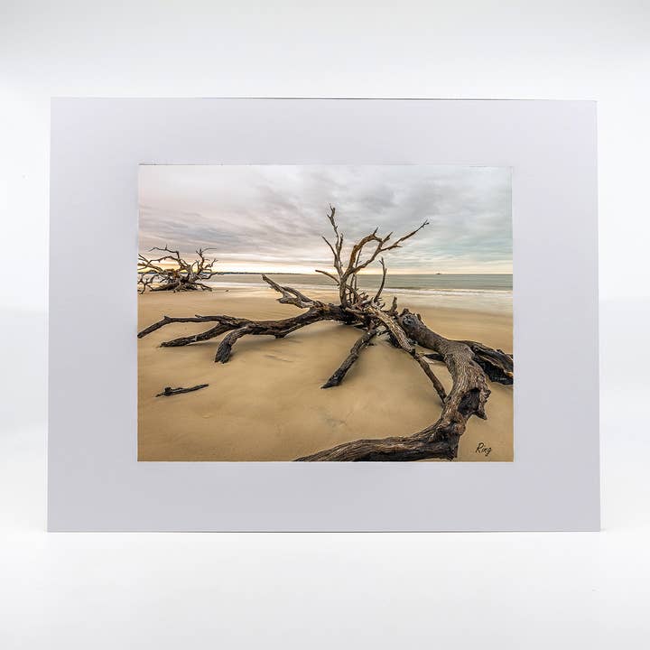 Œuvre d'art - Driftwood Beach 4 pour la vente par Mike Ring Photography