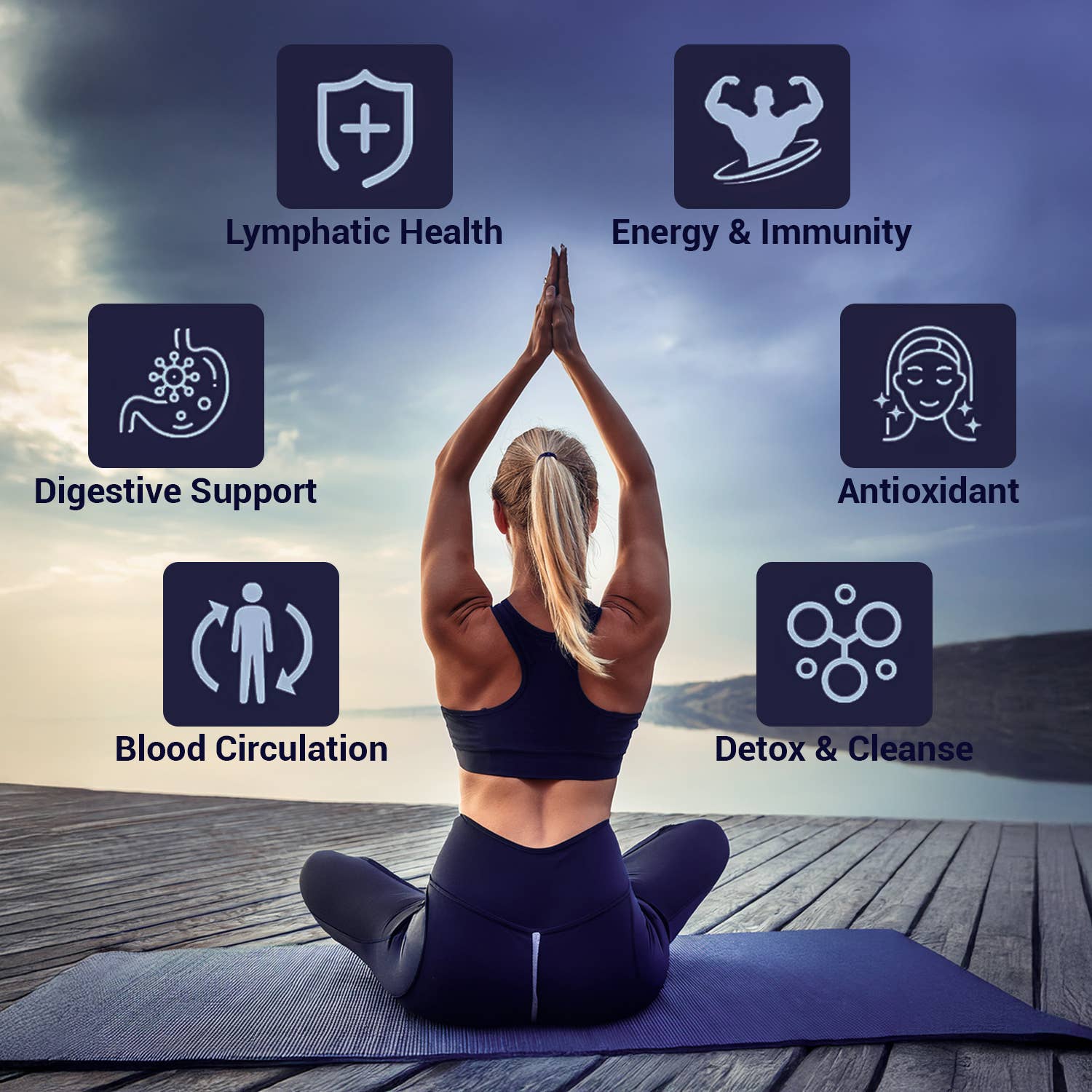 HARMONIFY - Wholesale Oral Supplement/Vitamin - HARMONIFY Lymphatic Drainage Drops – Herbal Detox & Fluid Balance Support | Natural Blend with Elderberry, Burdock Root, Dandelion & Echinacea | Supports Immune & Circulatory Health | 2 fl oz (60 mL)2