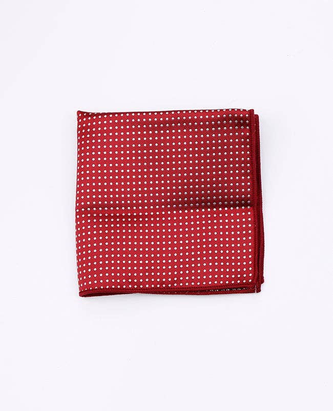 Unipap's - Wholesale Costume - Kids - Red Pocket Square No. 2 with Polka Dots in Polyester "Louis"1