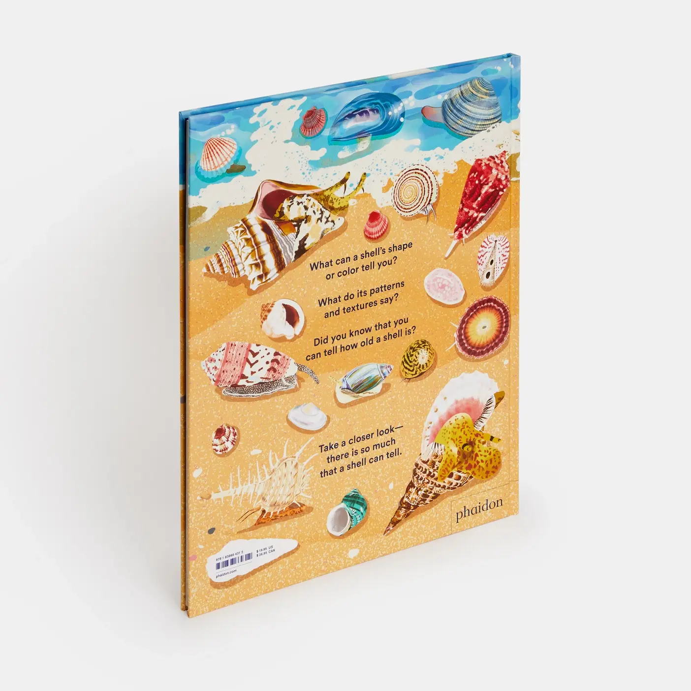 Phaidon - Wholesale Nature & Outdoors - What A Shell Can Tell9