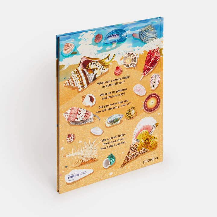 Phaidon - Wholesale Nature & Outdoors - What A Shell Can Tell9