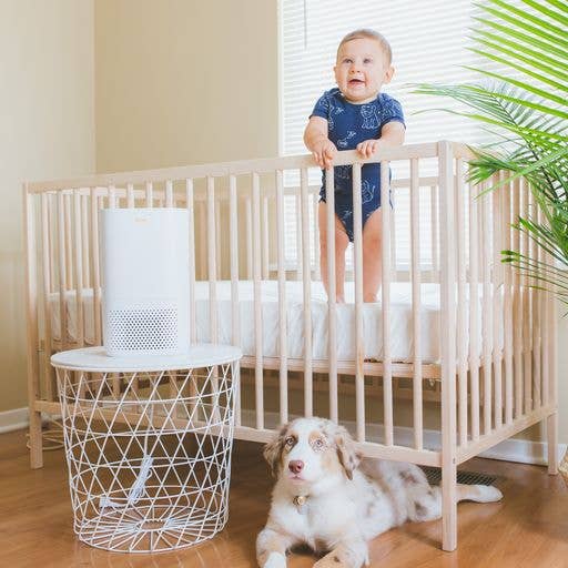 Crane Baby - Wholesale Air Purifier - Air Purifier With HEPA & UVC Light - Up to 250 sq. ft.8