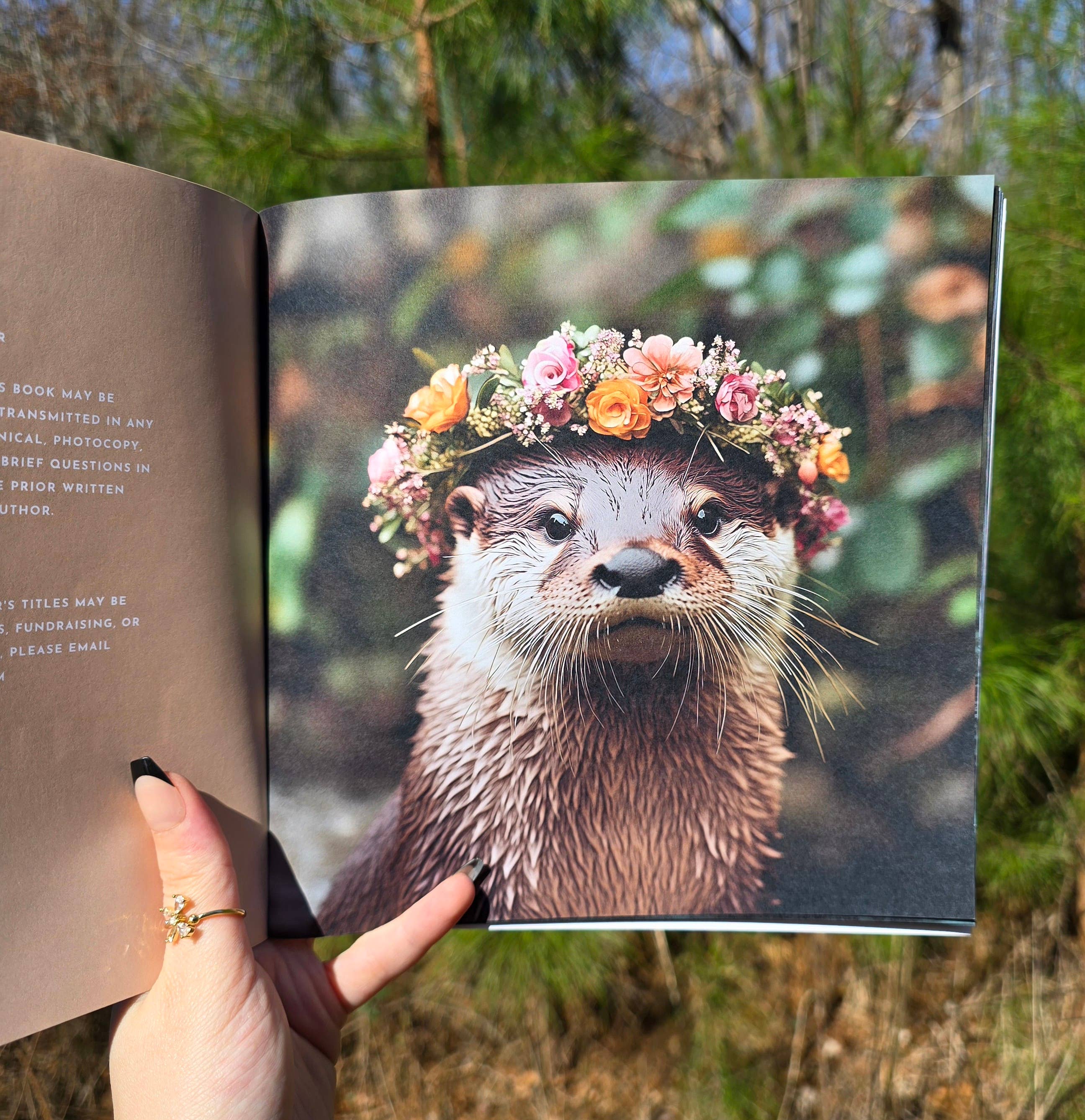 Author Linda Blackmoor - Wholesale Preschool Book (3-5) - Wildlife in Bloom: Little Otter1