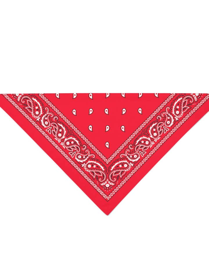 12 Pack Cotton Dog Bandana Paisley - 20 Inches for wholesale by Bandanas Wholesale