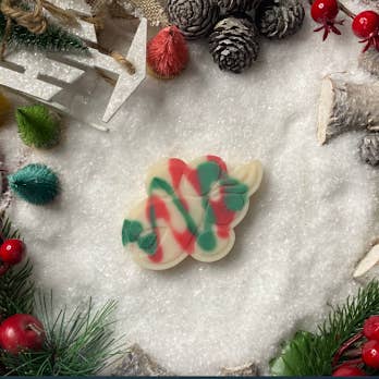Christmas Fruit Cake Giant Soy Wax Melt for wholesale by Topdog Candles