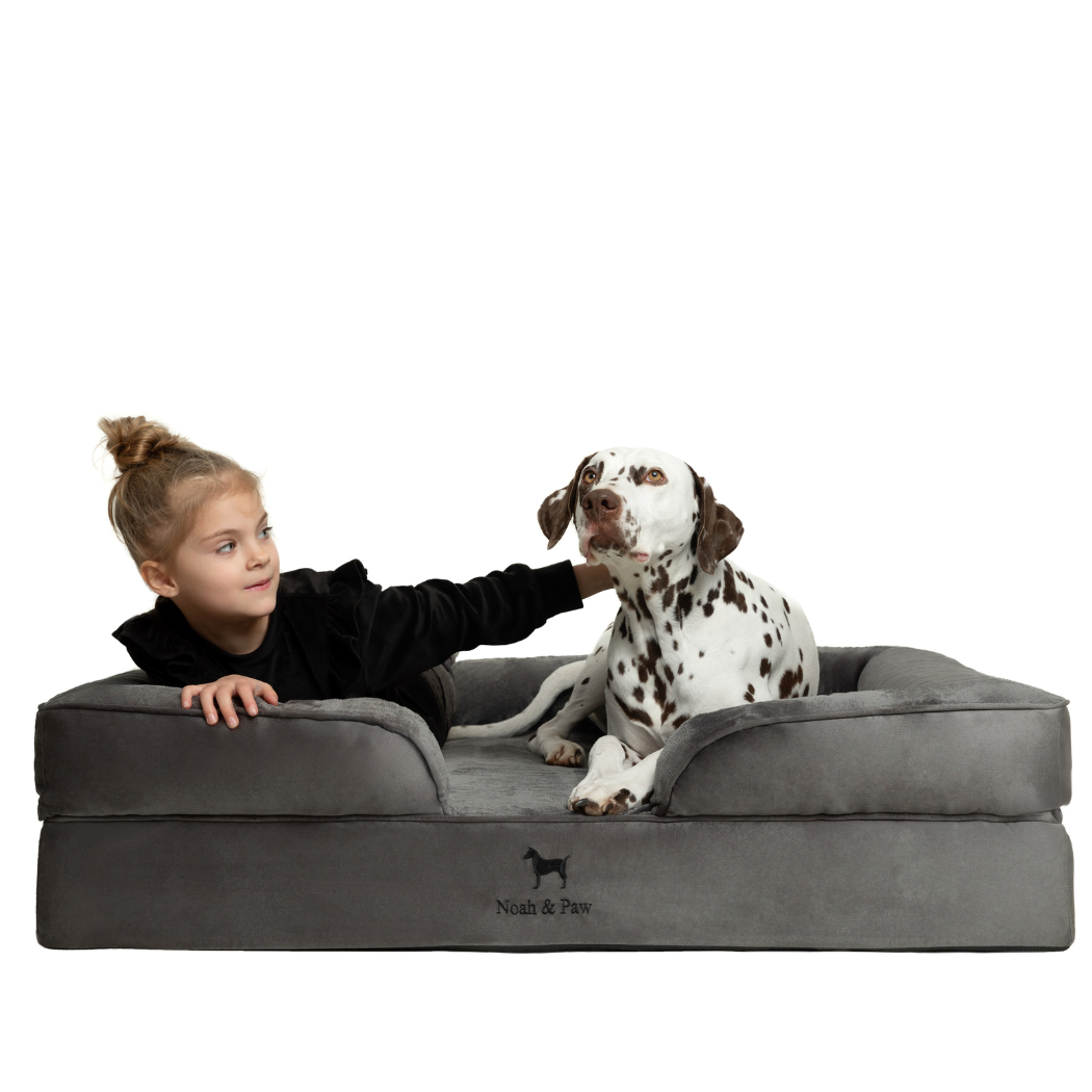 NOAH AND PAW LLC - Wholesale Bed voor huisdieren- Kat/hond - Velvet orthopedisch hondenbed met memoryfoam en verkoelende gel18