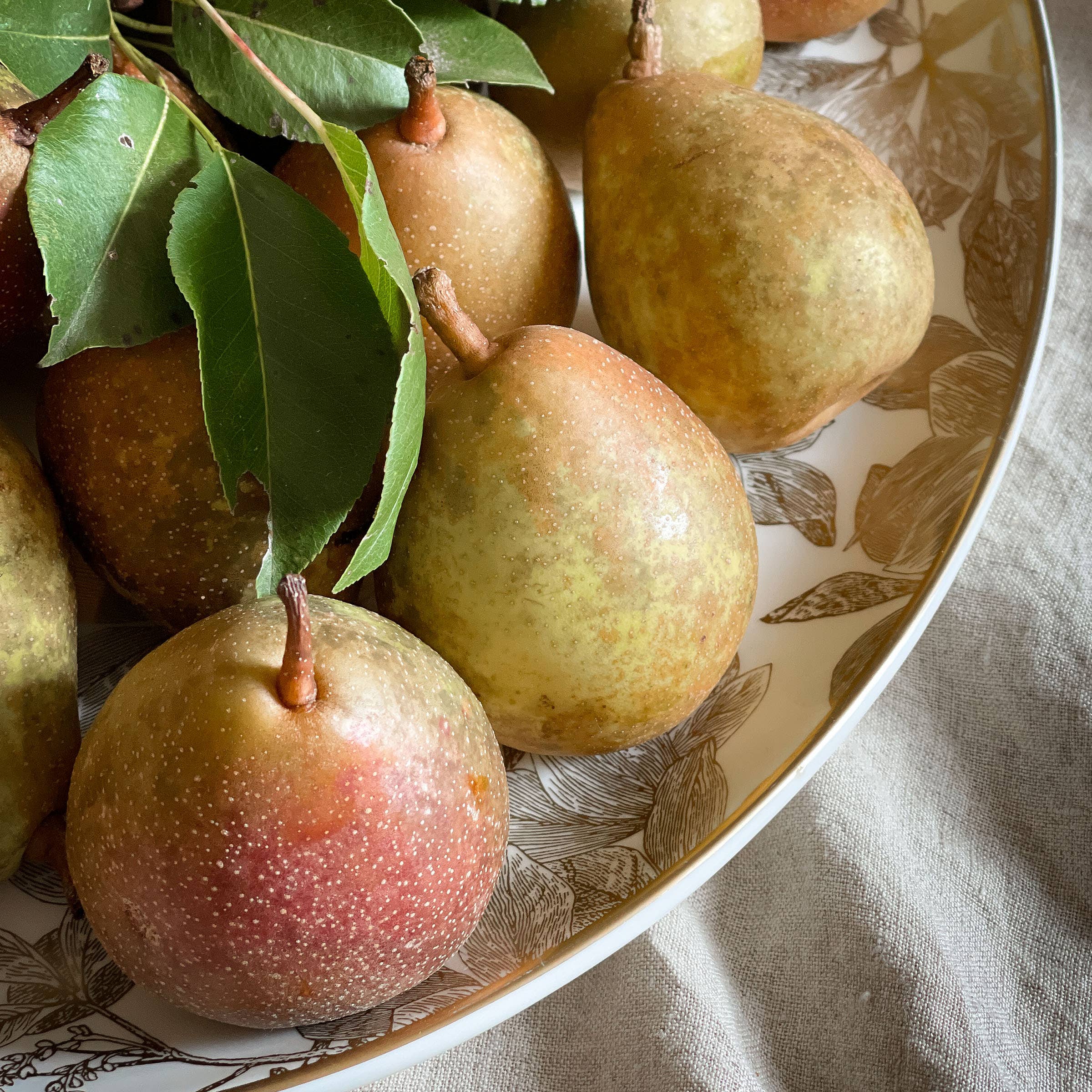 Caskata - Wholesale Platter - Arbor Large Coupe Oval Platter Gold2