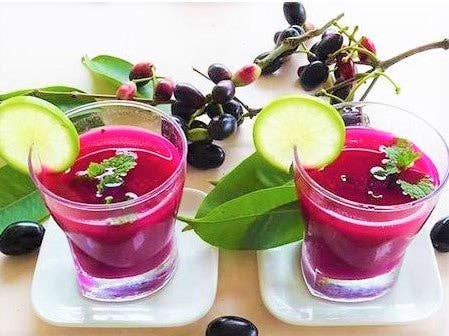 SATVIKZONE - Wholesale Protein/Superfood Powder - Java Plum Fruit Powder 100% Natural5