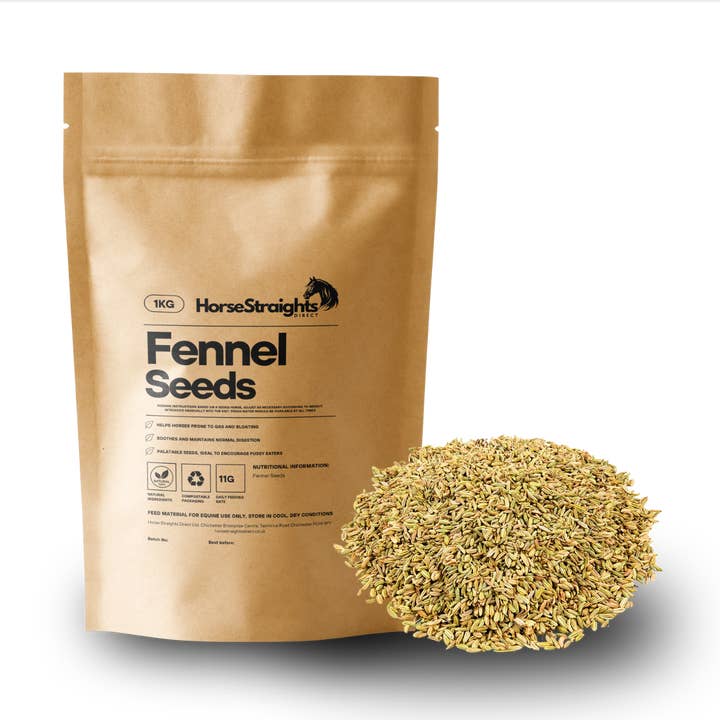Fennel Seeds for wholesale by Horse Straights Direct