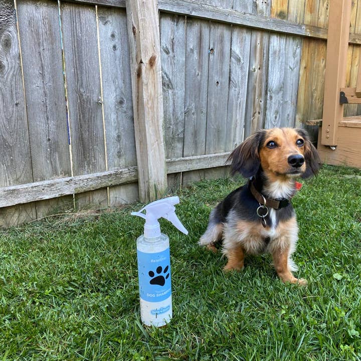 Duke-N-Boots - Wholesale Pet Shampoo - Dog - EasySpray Tearless Pet Shampoo