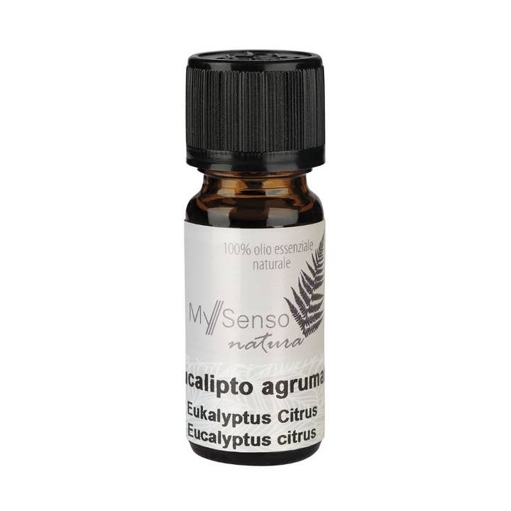 Essential oil Eucalyptus citrus 10ml for wholesale by MySenso