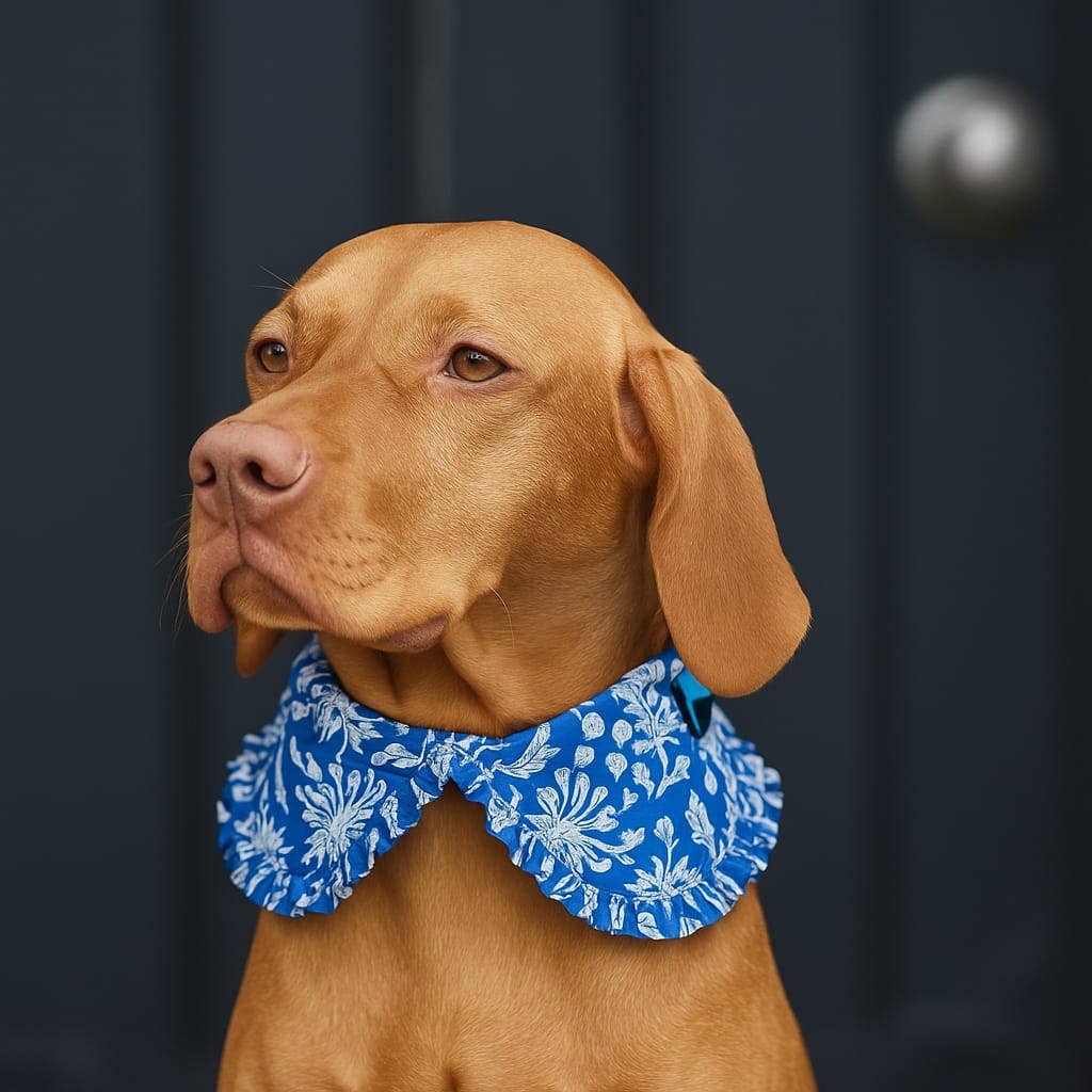 Akshu & Ameirah - Vente Collier – chien - Collier de chemise pour animaux avec volants - Pas de tarifs0