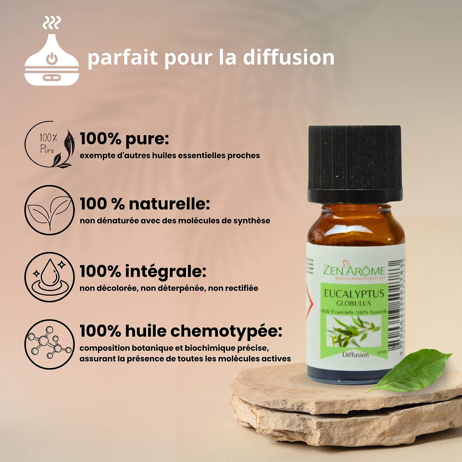 Zen'Arôme – wholesale Eterisk olja – Eukalyptus eterisk olja – 100 % naturlig – 10 ml3