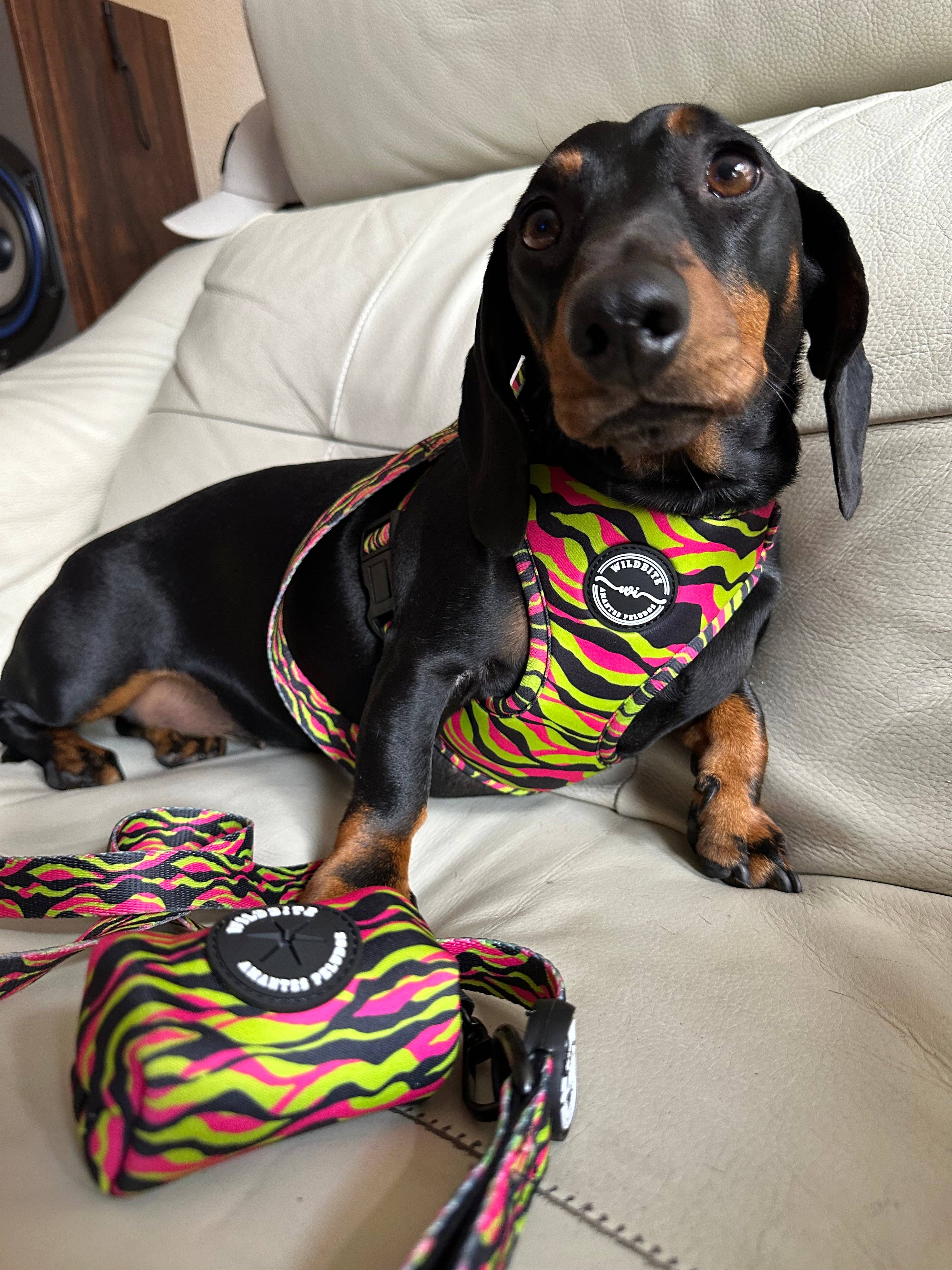 Wildbite Amantes Peludos - Wholesale Pet Leash - Dog - StyleZebra Bag Holder4