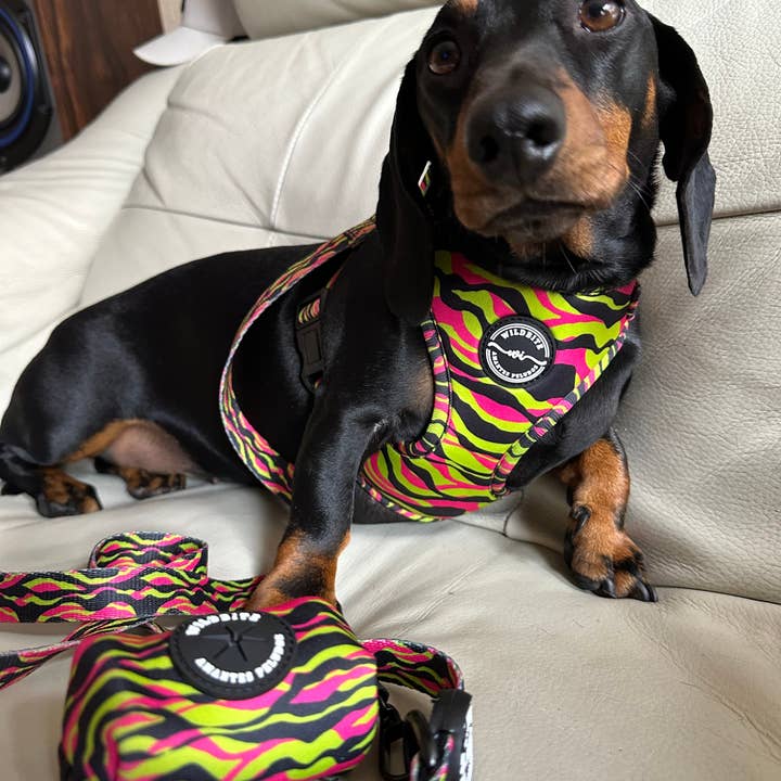 Wildbite Amantes Peludos - Wholesale Pet Leash - Dog - StyleZebra Bag Holder4