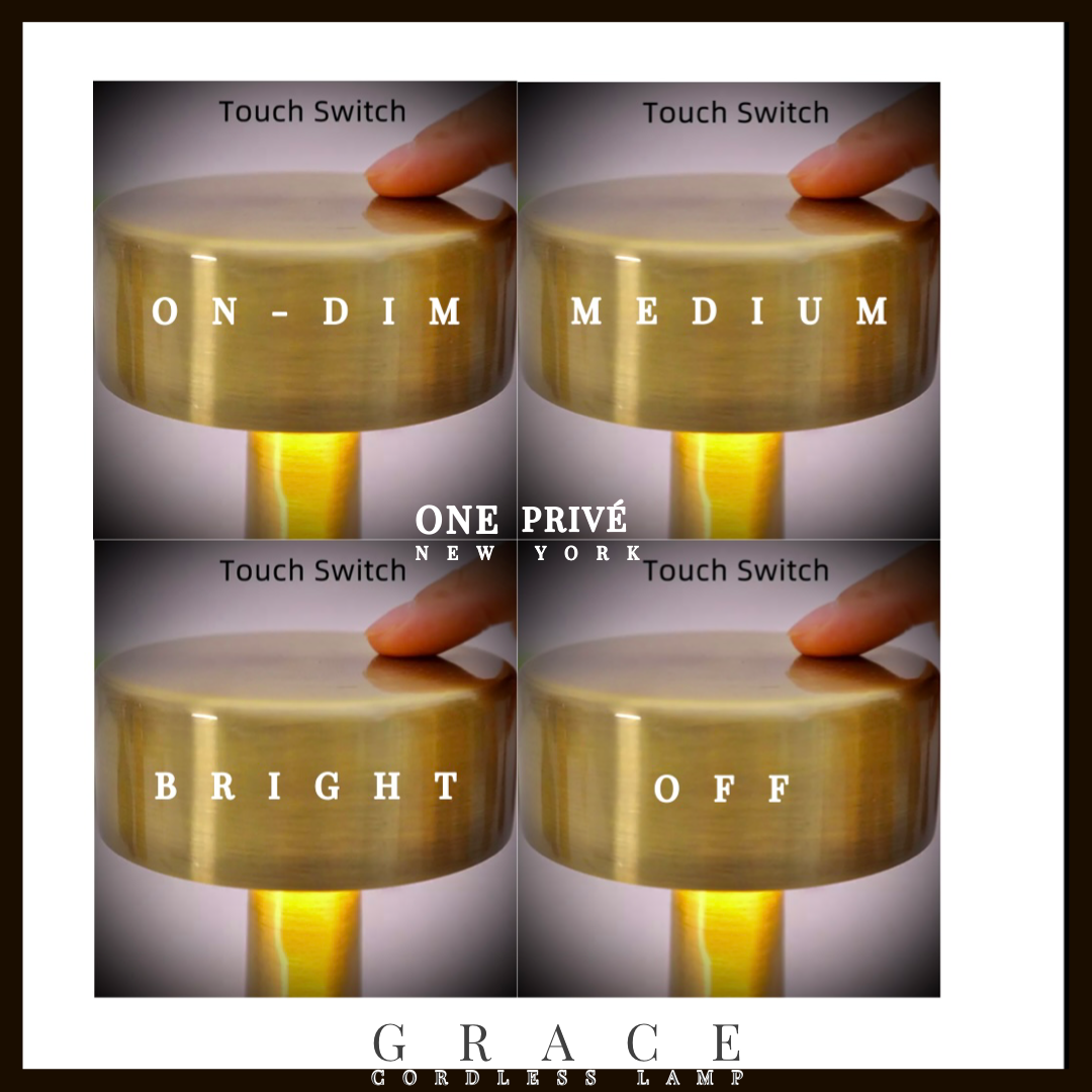 One Preevay Luxury Home Furniture & Decor - Vente Lampes d'appoint/de bureau - Lampe de Table Grace Hospitality - Commodité sans Fil - Rechargeable - Résistante à l'Eau1