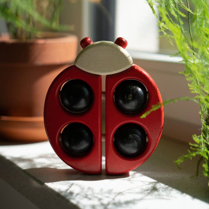 BAJO WOODEN TOYS - Wholesale Wood Toy - Kids - Wooden Ladybug with Wheels3