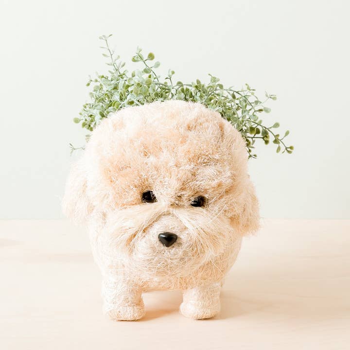 Poodle Planter - Coco Coir Pots | LIKHÂ and other Purchase Wholesale live coco. Free Returns & Net 60 Terms on Faire trending on Faire.