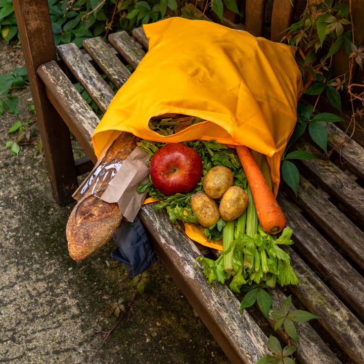 SUCK UK Ltd - USA - Wholesale Grocery/Shopping Bag - Cat Carrier3